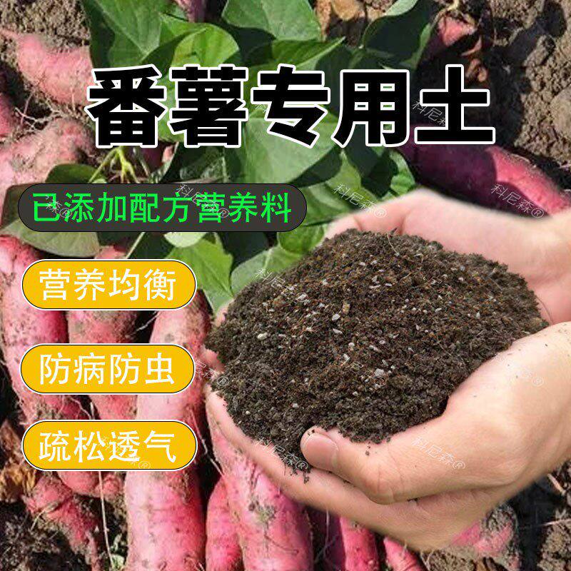 番薯专用土家庭种菜黑土瓜果蔬菜阳台盆栽营养土菜地花盆番薯种植