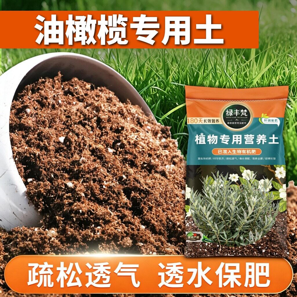 油橄榄专用育苗土无尘处理栽植盆栽土原料甄选稳定土团家用装球根