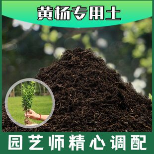黄杨专用土腐殖土种花养花盆栽绿植通用土黄杨营养土种植有机土壤