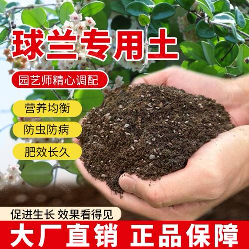 球兰专用土肥料天然花草球兰营养土园艺室内花盆椰砖绿植蓬松种花