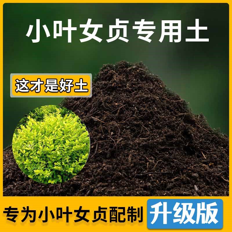 小叶女贞专用土家用种植土壤透气小叶女贞营养土盆栽种花土有机土
