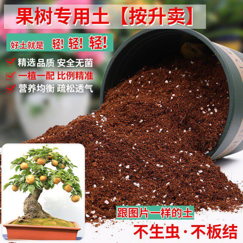 果树专用土轻质土营养土家庭盆栽樱桃树葡萄苹果盆栽土柠檬蓝莓