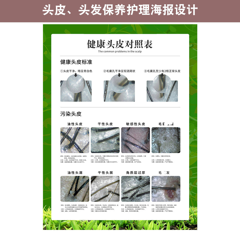健康头皮对照表毛发结构挂图头皮毛囊检测生发养发海报宣传画广告