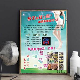 肠道排毒肝胆排毒海报肝胆保养广告图宣传画美容院肠道清理装饰画