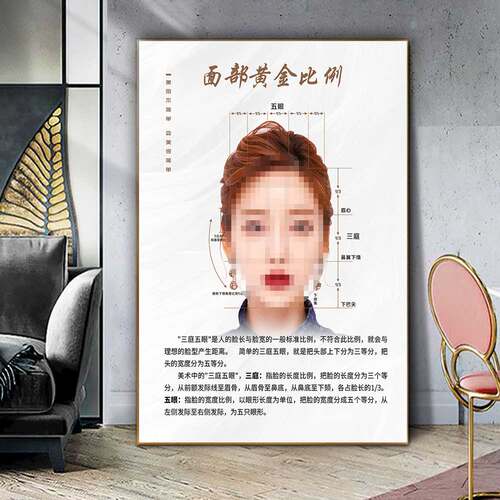 面部黄金比例海报医美容院墙壁微整形图片按摩养生画广告KT板设计