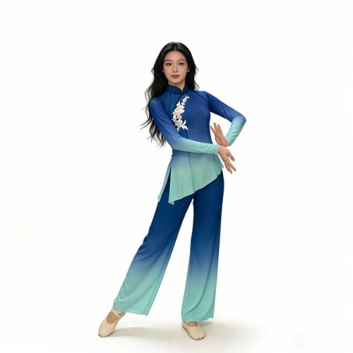 古典民族舞一条大河女成人儿童考级纱衣套装飘逸胶州秧歌舞演出服