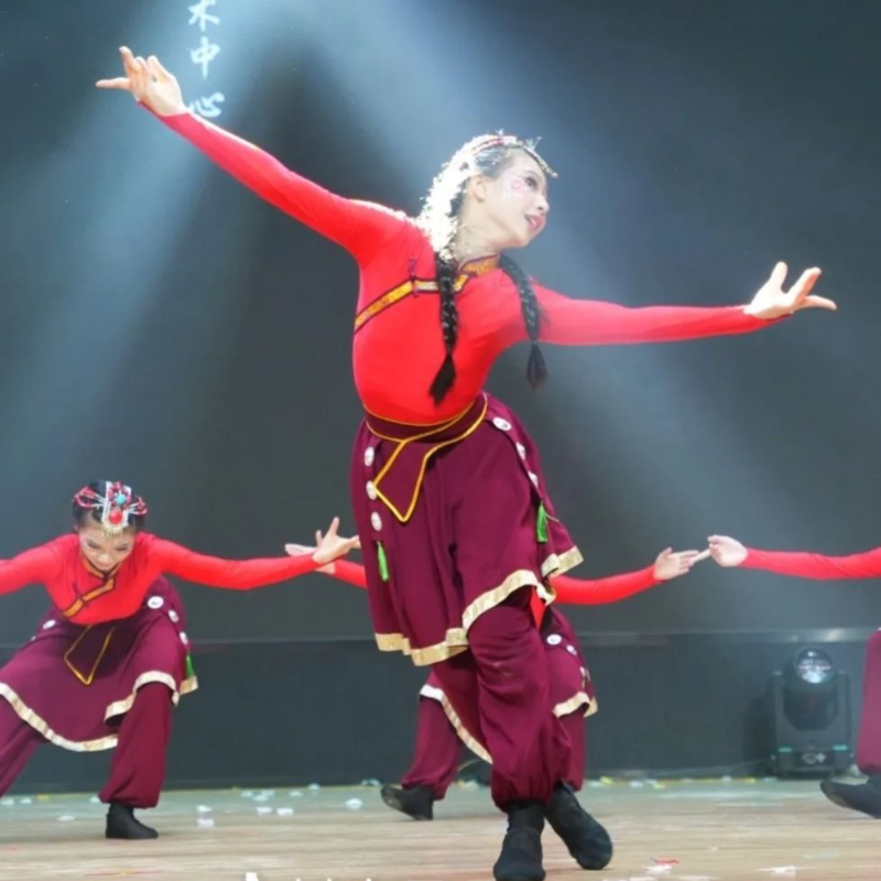 起舞同款舞台演出服古典舞舞蹈服藏族舞蹈服桃李杯少数民族表演服