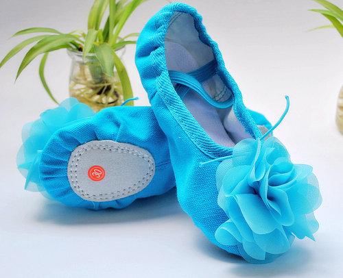 桃李杯儿童舞蹈我和月亮说句话带花表演舞蹈鞋蓝色舞鞋猫爪鞋演出