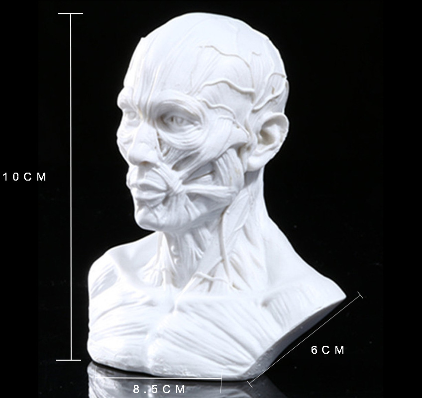 树脂头雕摆件家居客厅办公室桌面创意装饰品头像摆件
