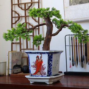 景德镇陶瓷花盆青花瓷花器中式客厅阳台摆件兰花绿萝四方四大美女