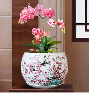 景德镇陶瓷器聚宝盆无孔中式 办公室兰花绿萝蝴蝶兰树盆花盆摆件大