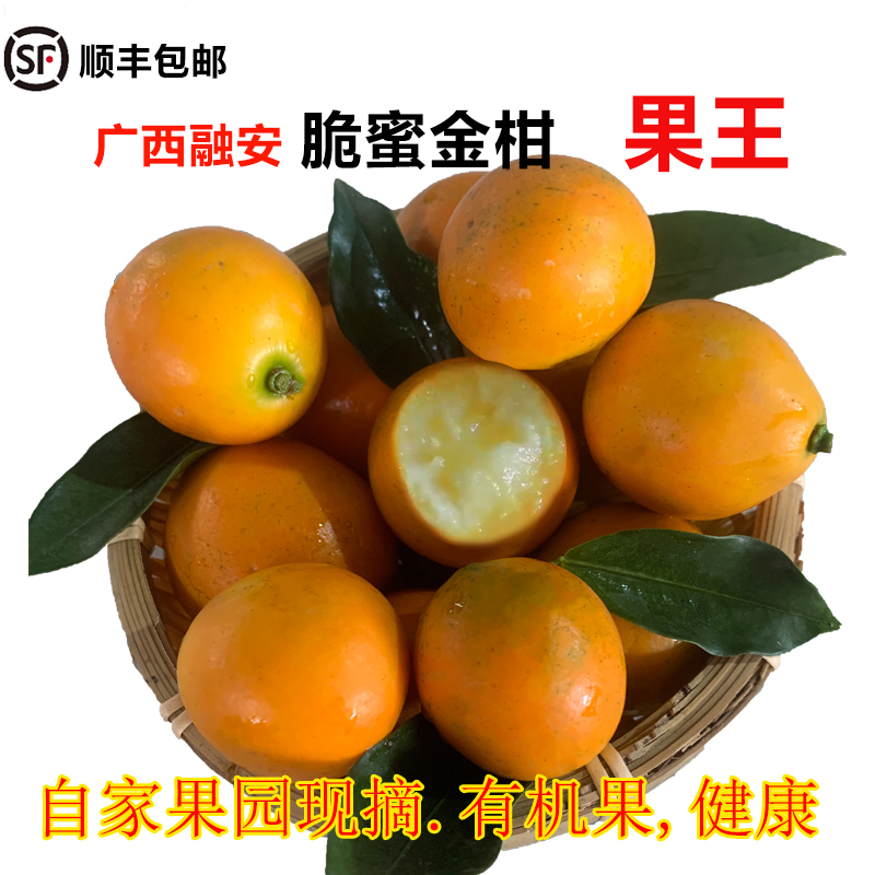 脆蜜，纯甜多汁，肉嫩金桔