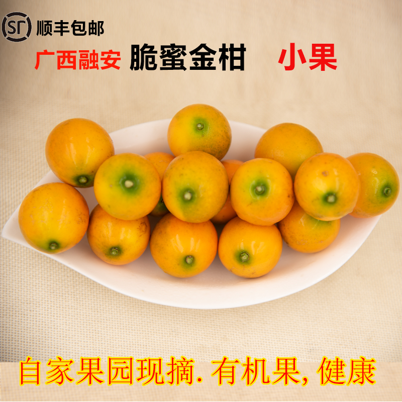 第三代脆蜜金柑融安金桔