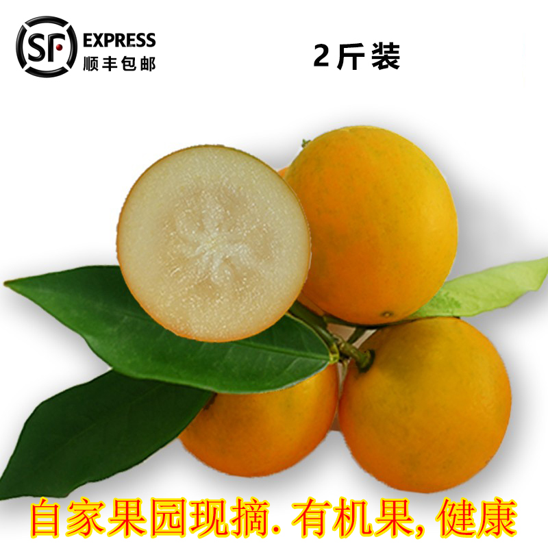 广西融安金桔2斤装滑皮金桔新鲜水果应季金桔现摘现发顺丰包邮