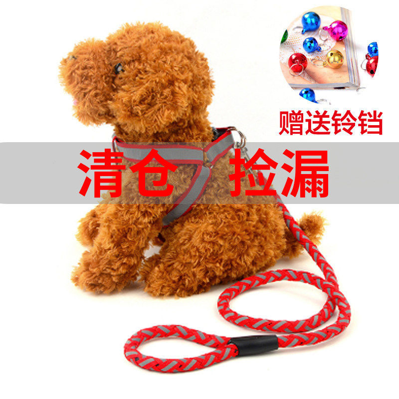 荧光泰迪狗链 狗狗牵引绳 夜光狗链子小型犬宠物胸背带遛狗绳子