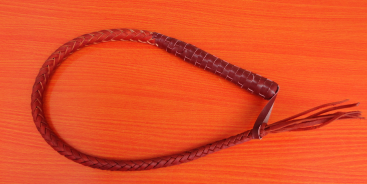 Article sports equestres - Ref 1378293 Image 3