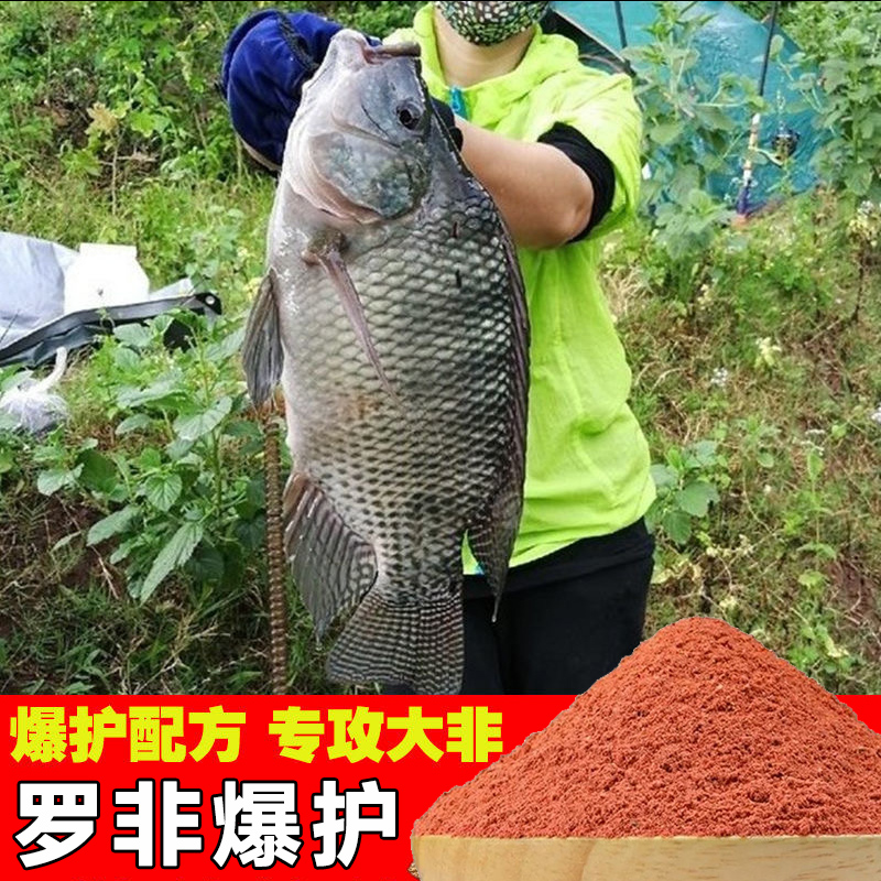 罗非鱼饵料野钓黑坑大罗飞专用饵料广东广西肝腥味香腥味罗非鱼饵