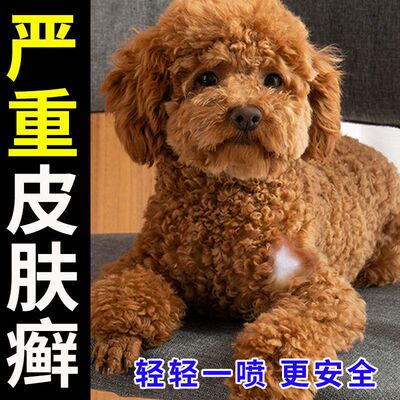 【泰迪专用】狗狗皮肤病治真菌螨虫狗皮癣宠物杀螨止痒特效喷剂