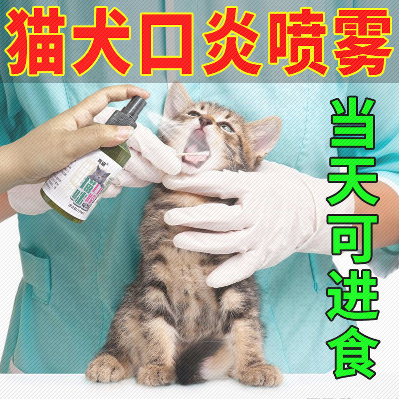 猫咪口炎特效口腔溃疡猫犬舌疮口臭口腔黏膜破损流口水专用喷剂