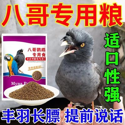 八哥鸟饲料【学舌快】鹩哥营养鸟食丰羽长膘海八黑八专用养鸟零食