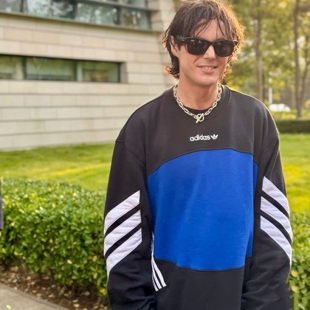 阿迪达斯三叶草Originals男女街头滑板风运动休闲撞色卫衣 IY1613