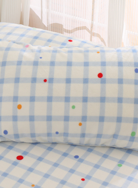 泡泡海盐蓝色冬季天牛奶绒珊瑚绒枕套一对装枕头套单个48cmx74cm