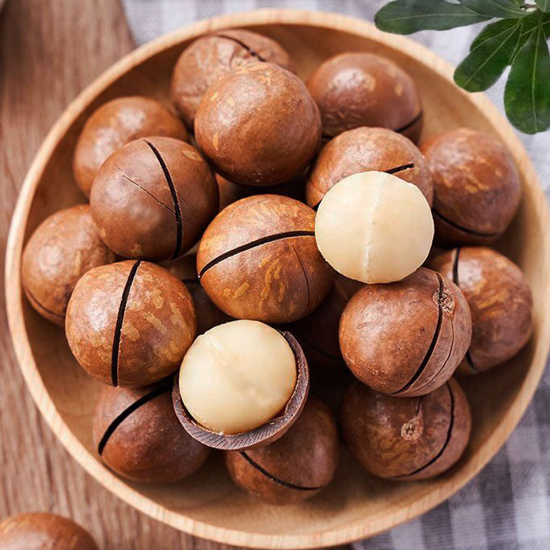 超大颗粒夏威夷果净含量500克休闲零食,零食/坚果/特产,夏威夷果,淘宝优惠券,粉丝福利购,淘宝优惠卷