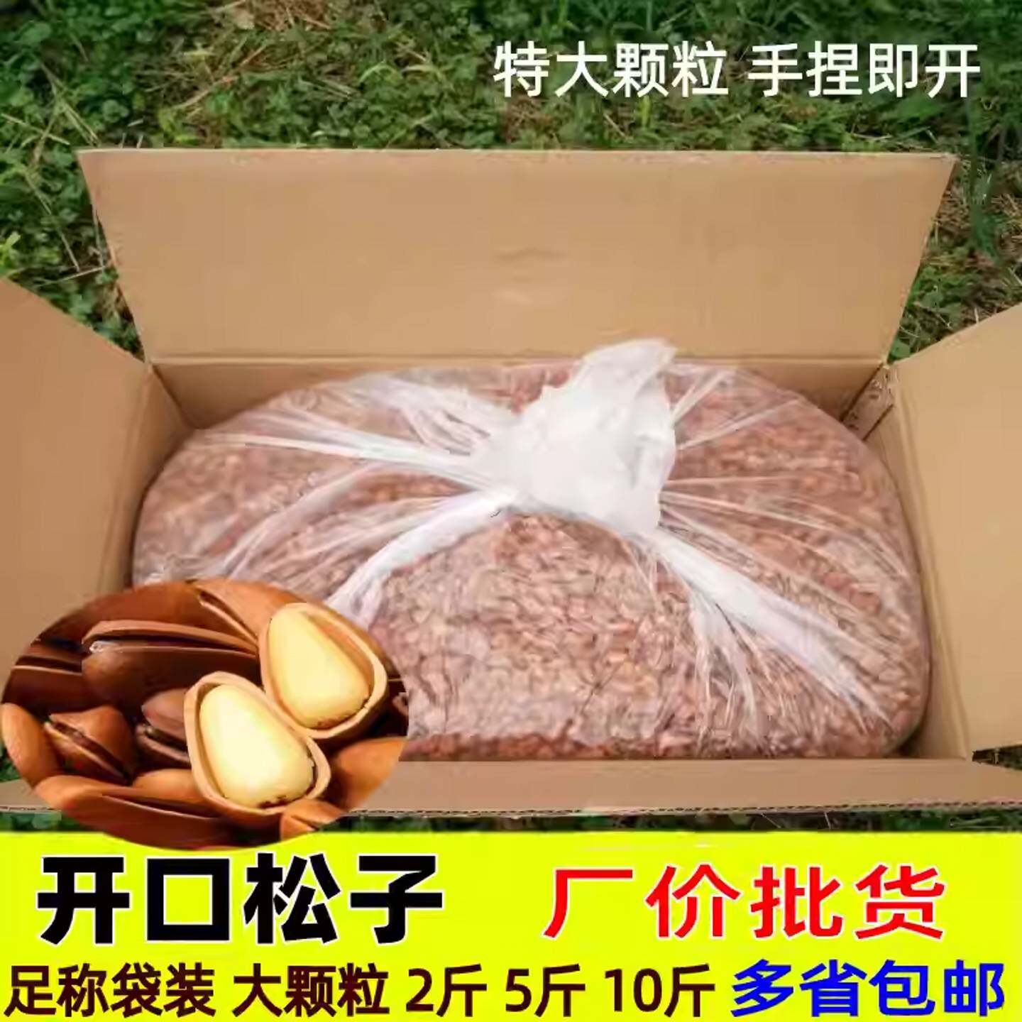 松子特大东北级特2026新货野生开口松子手剥松子大颗粒发批10斤