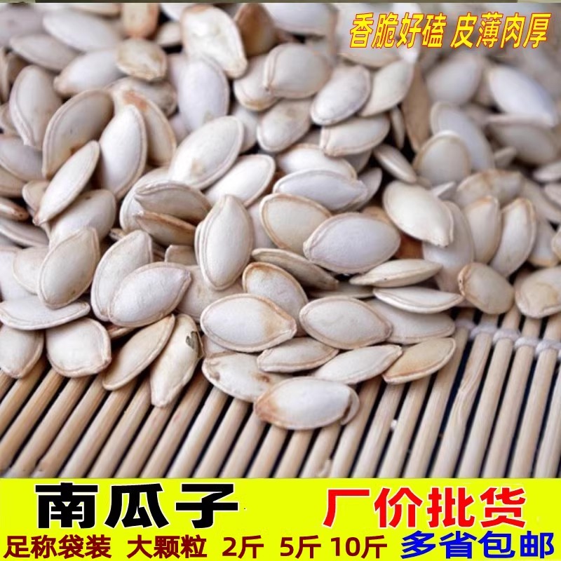 南瓜子原味新货大粒散装盐焗炒货