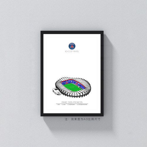 22巴黎圣日尔曼psg王子公园球场实木相框照片迷足球装饰墙桌家居