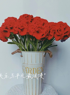 母亲节毕业季教师节手工毛线钩织花束仿真花束康乃馨永生花束
