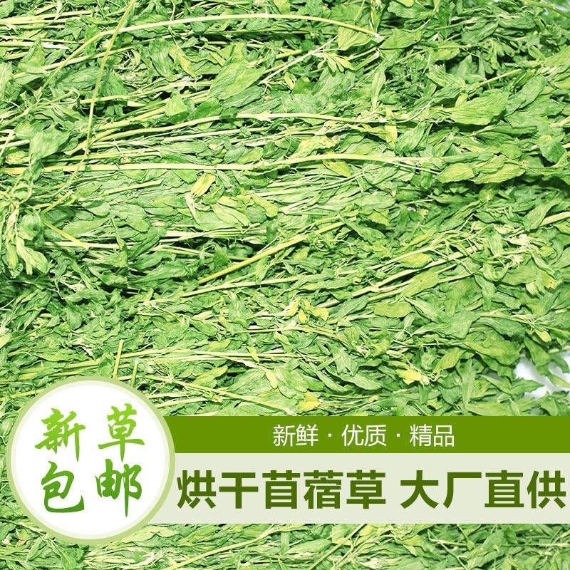 2024新草苜蓿草兔兔干草兔子龙猫荷兰猪草粮牧草干草兔子吃