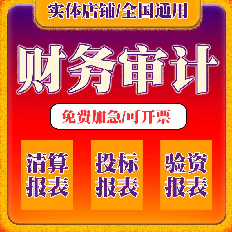 年度财务审计报表投标年检离任清算验资实缴投标报表报告模板咨询