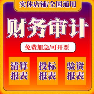 年度财务审计报表投标年检离任清算验资实缴投标报表报告模板咨询