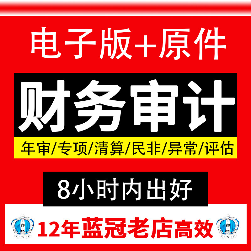 审计投标报告专项资产评估报告年度财务报告咨询高新出具制作报表文件本