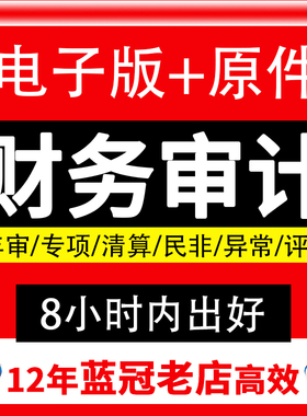 审计投标报告专项资产评估报告年度财务报告咨询高新出具制作报表文件本