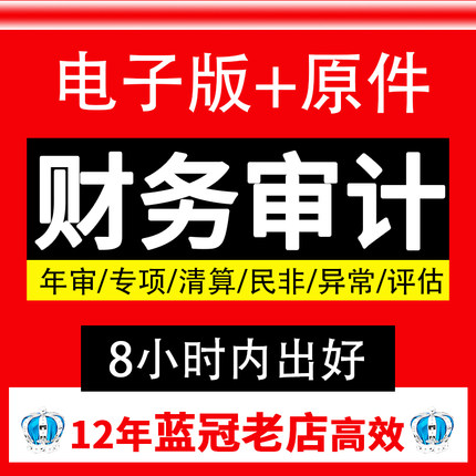 审计投标报告专项资产评估报告年度财务报告咨询高新出具制作报表文件本
