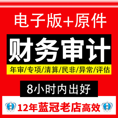 审计投标报告专项资产评估报告年度财务报告咨询高新出具制作报表文件本