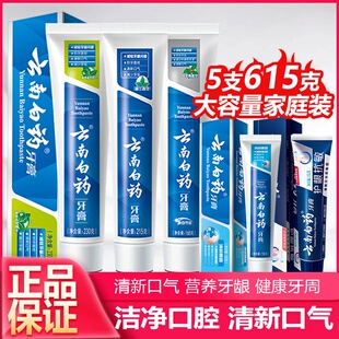 云南白药牙膏薄荷留兰冬青210g去牙渍口气清新减轻牙龈问题促销 装