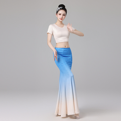 傣族舞蹈服装360度渐变色练习裙
