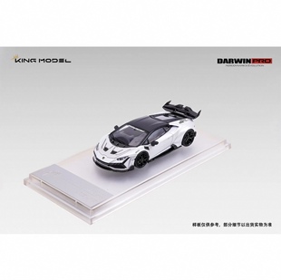KING MODEL 莉莉丝huracan合金车模预售 DarwinPRO