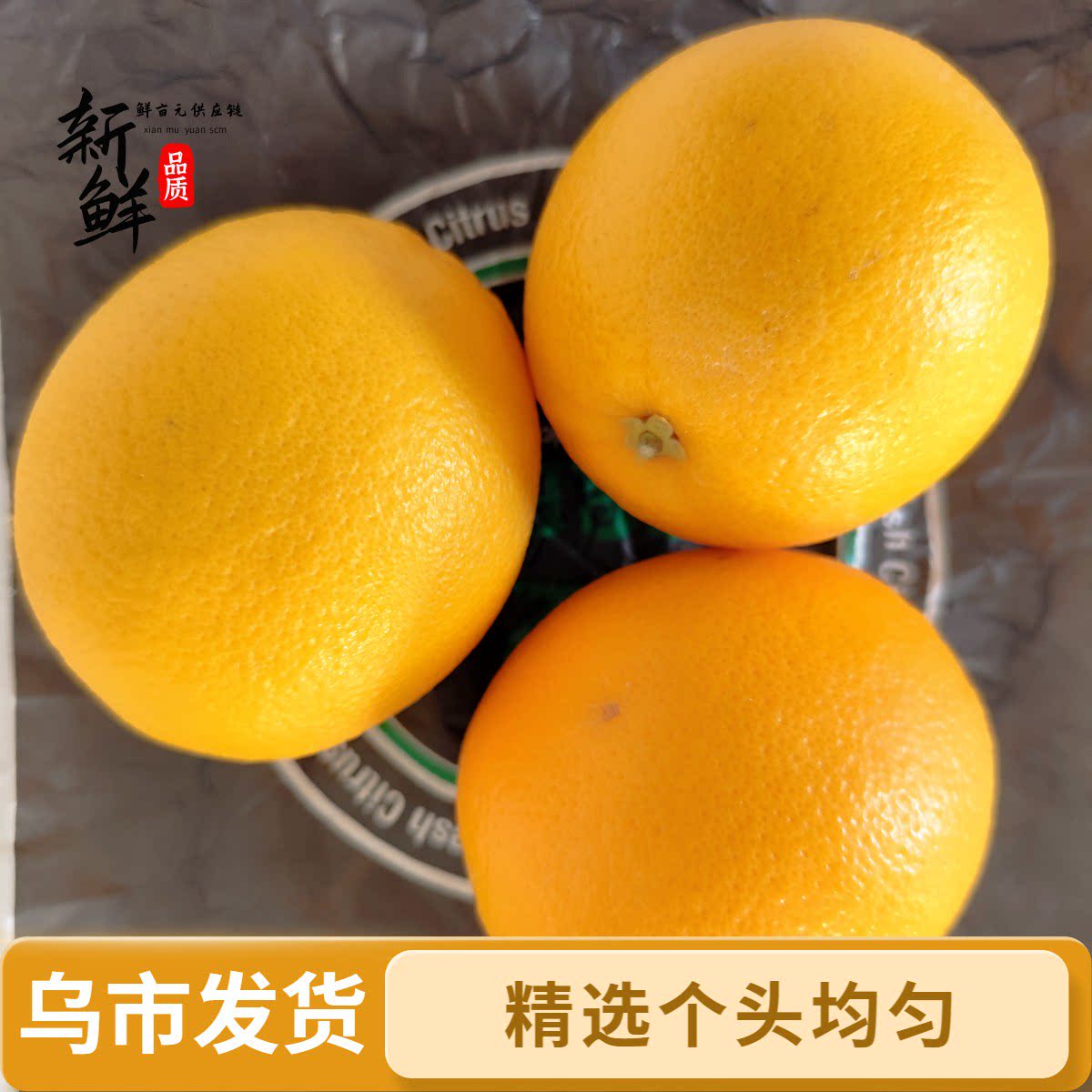 【乌鲁木齐发货】新鲜进口橙子汁水清甜橙汁果茶新疆包邮