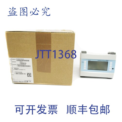 原装供应ENDRESS+HAUSER RMS621-21AAA1111 NSMP