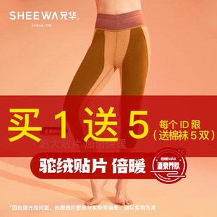 兄华女士保暖裤加厚秋裤蚕丝驼绒加大护膝护腰线裤贴片磨毛磨绒裤