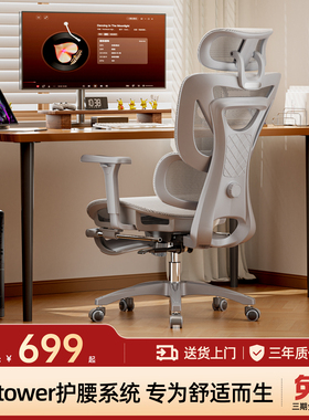 TotGuard人体工学椅电脑椅家用办公座椅电竞椅久坐撑腰靠背椅子E1