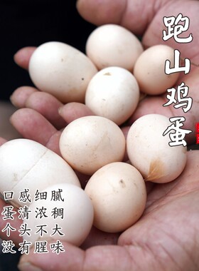 【闹妈海鲜】新品舟山鸡蛋 30枚/组 包邮（除偏远）单独发货