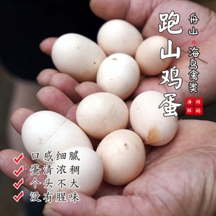 【闹妈海鲜】新品舟山鸡蛋 30枚/组 包邮（除偏远）单独发货