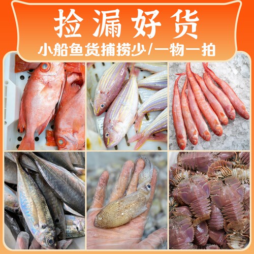 【闹妈海鲜】[好的鱼/鸡/虾]捡漏好货/小船鱼货捕捞少/各种规格