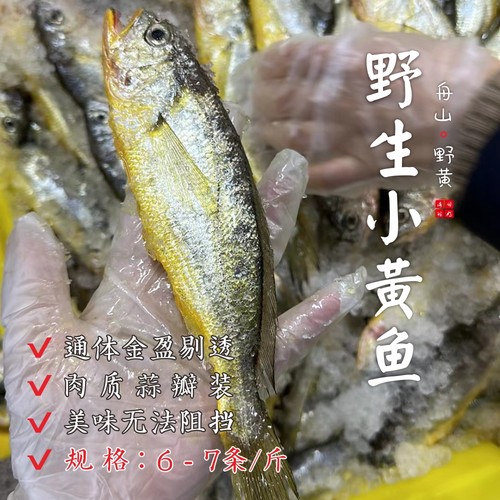 闹妈舟山新鲜舟山小黄鱼