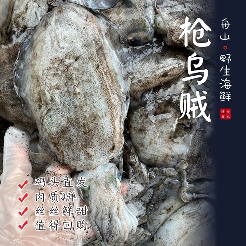 【闹妈】[鲜冻]舟山枪乌贼 各种规格